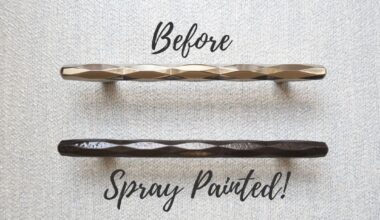 Best Spray Paint for Hinges & Knobs